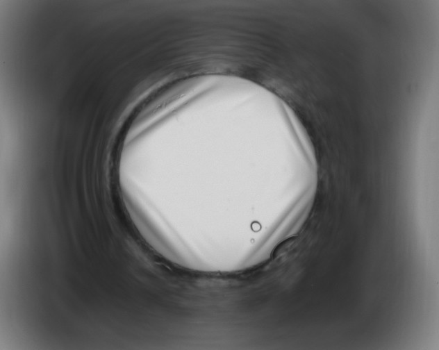 X0000086240242200704261921