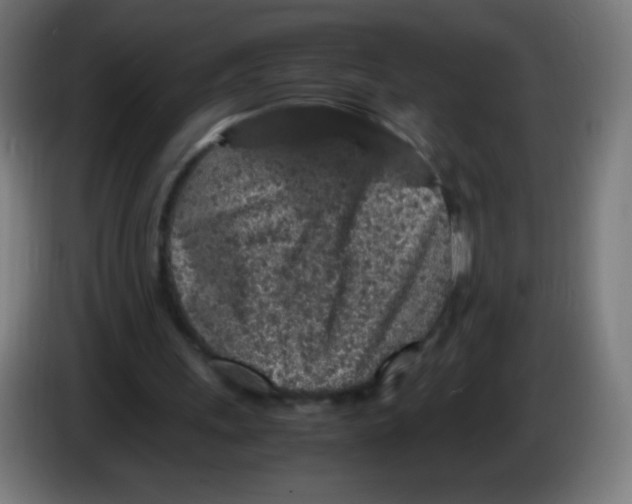 X0000086240243200704261921