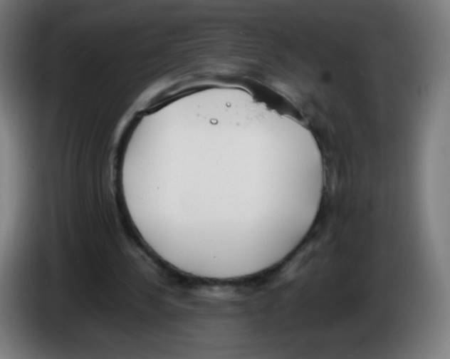 X0000086240244200704261921