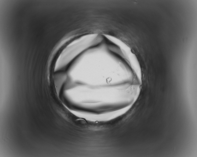 X0000086240246200704261921