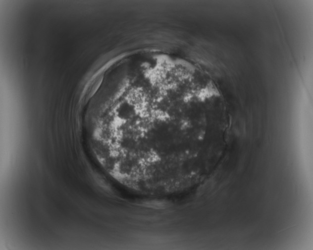 X0000086240247200704261921