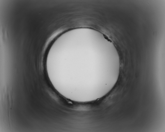 X0000086240248200704261922