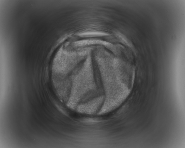 X0000086240250200704261922