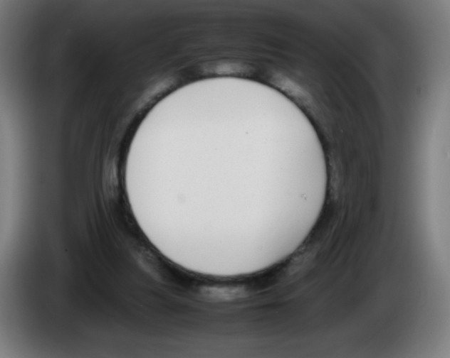 X0000086240251200704261922