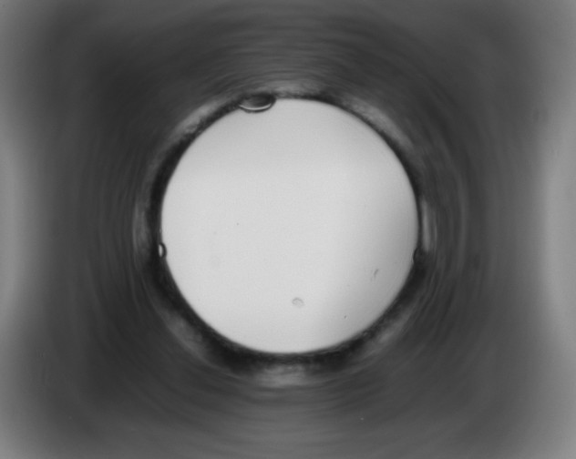 X0000086240252200704261922