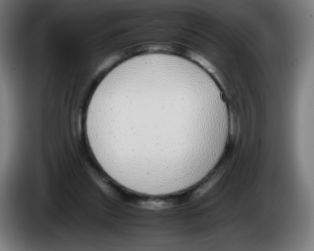 X0000086240253200704261922