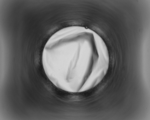 X0000086240255200704261922