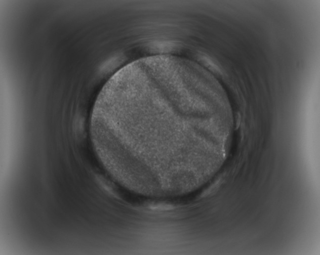 X0000086240258200704261922
