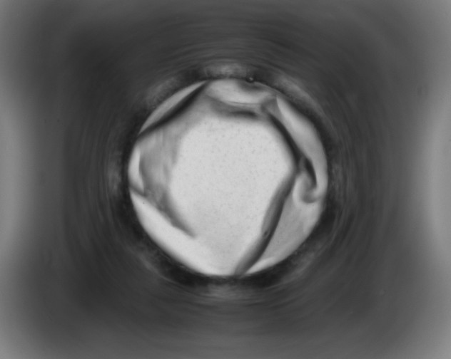 X0000086240259200704261922