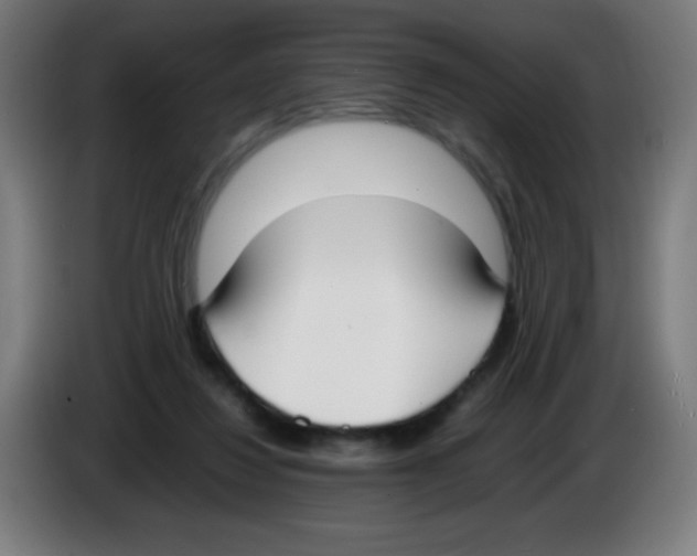 X0000086240260200704261922