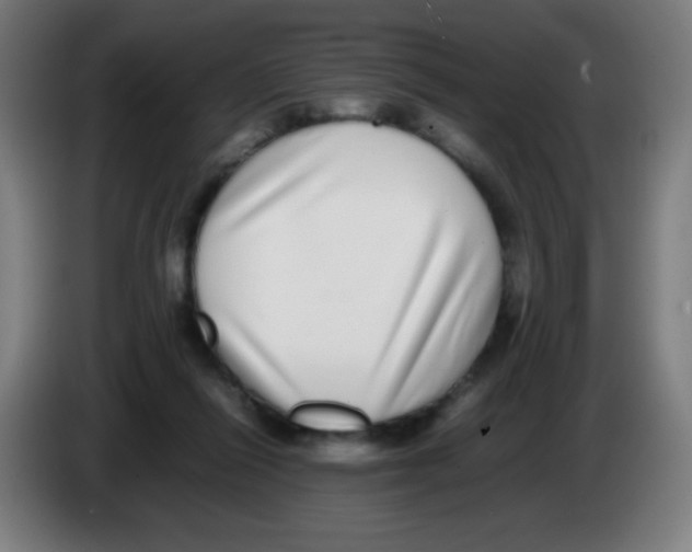 X0000086240262200704261922