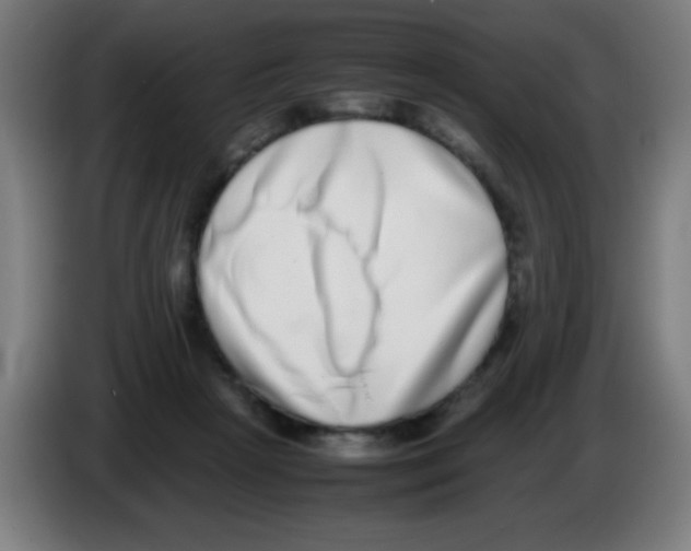X0000086240265200704261922