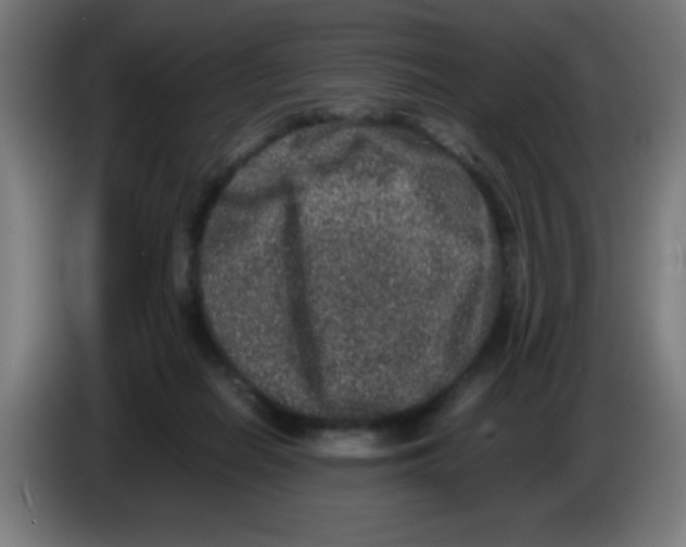 X0000086240266200704261922