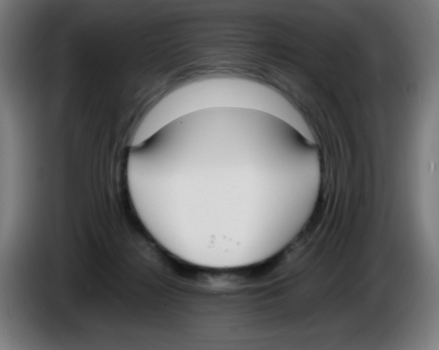 X0000086240268200704261922