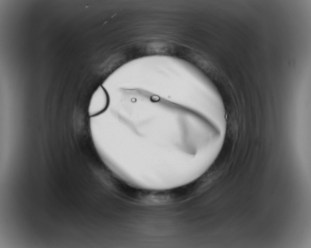 X0000086240270200704261922