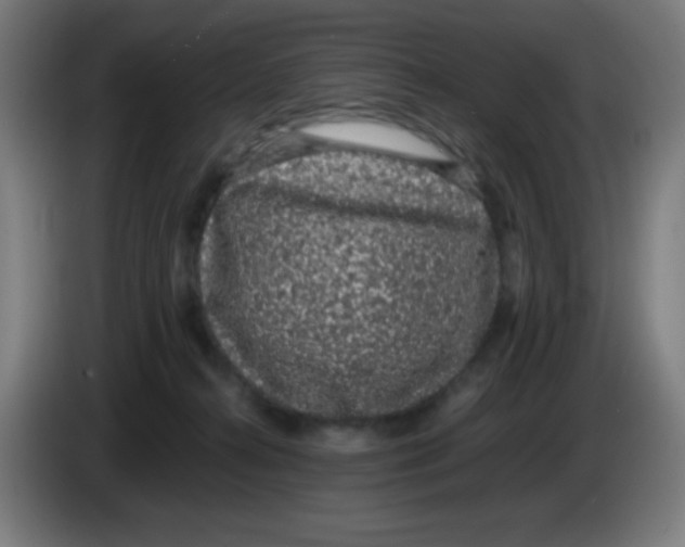 X0000086240272200704261922
