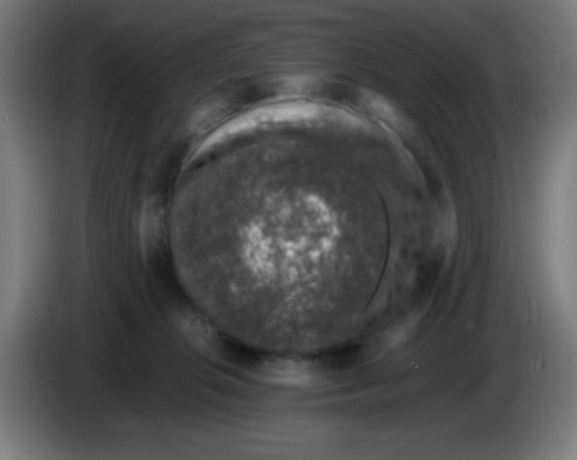 X0000086240276200704261922