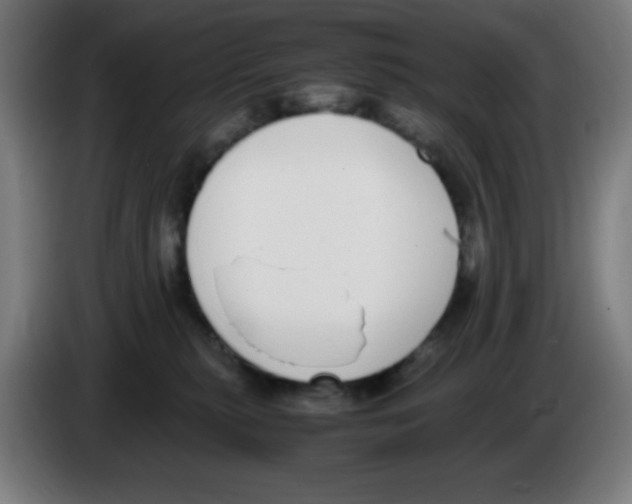 X0000086240279200704261922