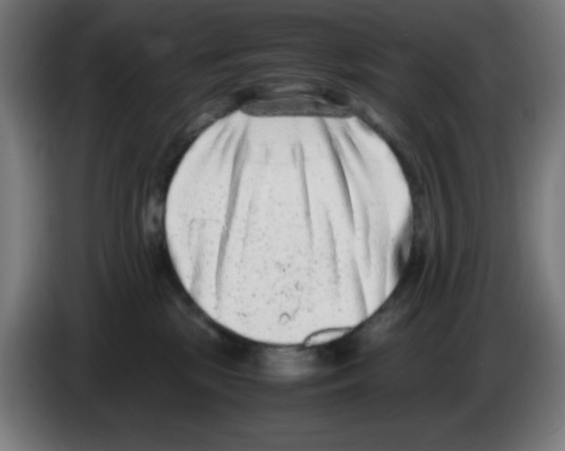 X0000086240281200704261922