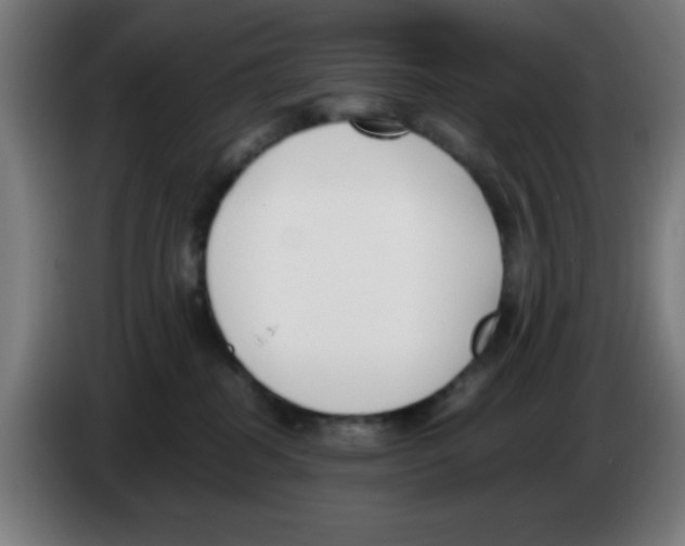 X0000086240282200704261922