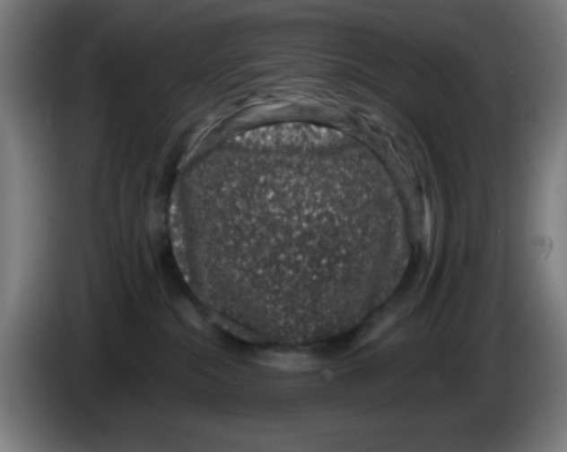 X0000086240284200704261922