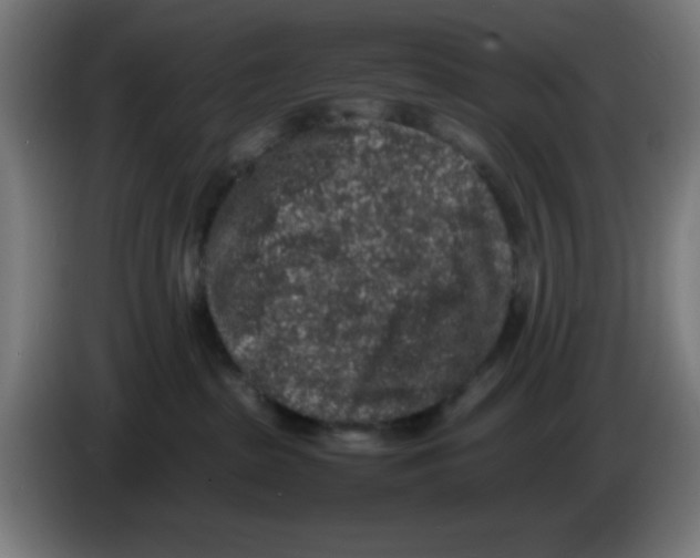 X0000086240285200704261922