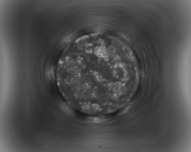 X0000086240286200704261922