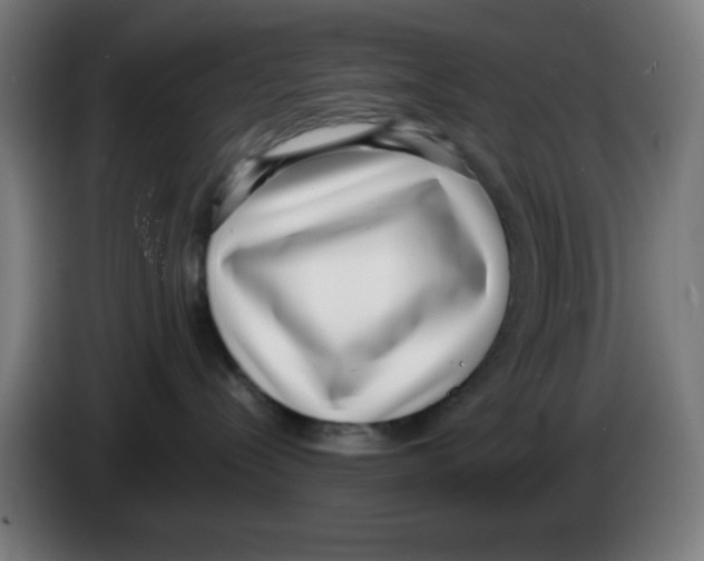 X0000086240288200704261922