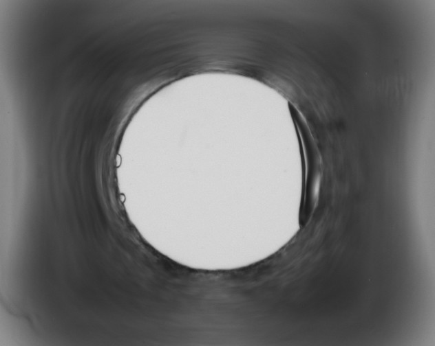 X0000086240289200704261921