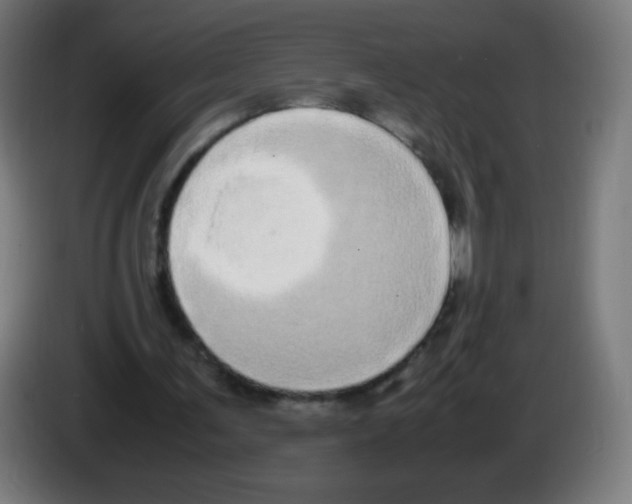 X0000086240291200704261921