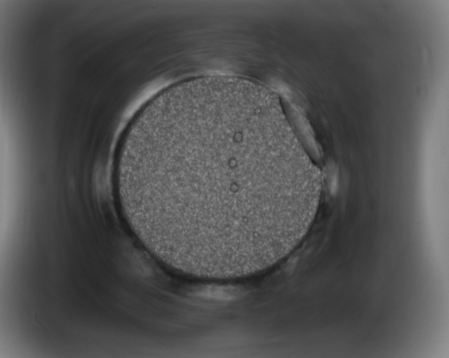 X0000086240292200704261921