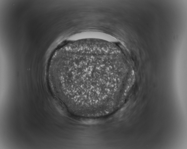 X0000086240293200704261921