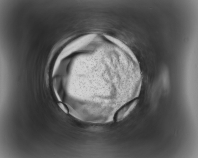 X0000086240294200704261921