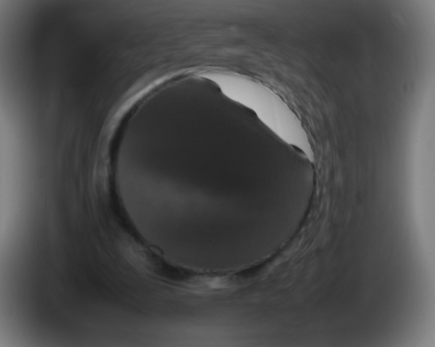 X0000086240295200704261921