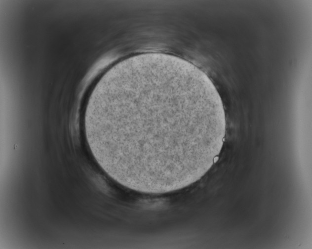 X0000086240296200704261921