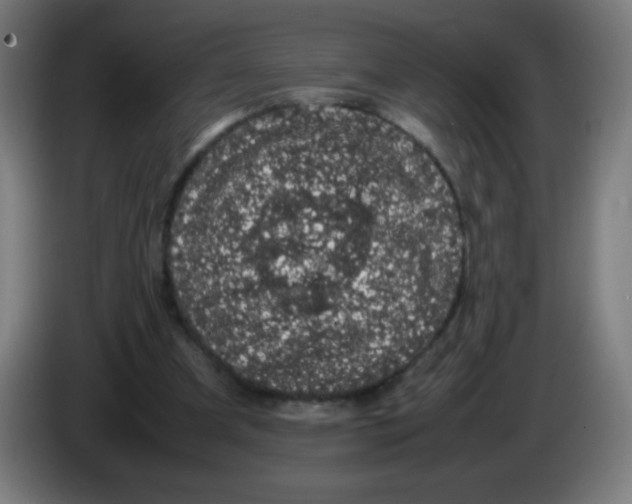 X0000086240297200704261921