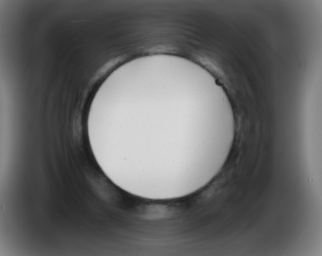 X0000086240298200704261921