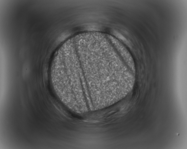 X0000086240299200704261921