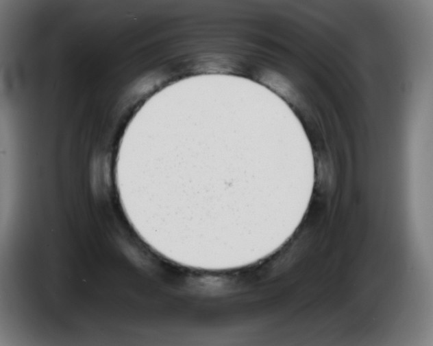 X0000086240302200704261921
