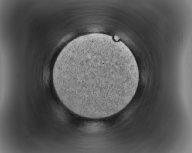 X0000086240304200704261921