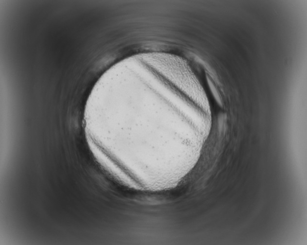 X0000086240305200704261921