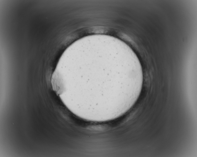 X0000086240307200704261921