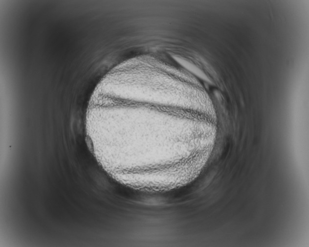 X0000086240313200704261921