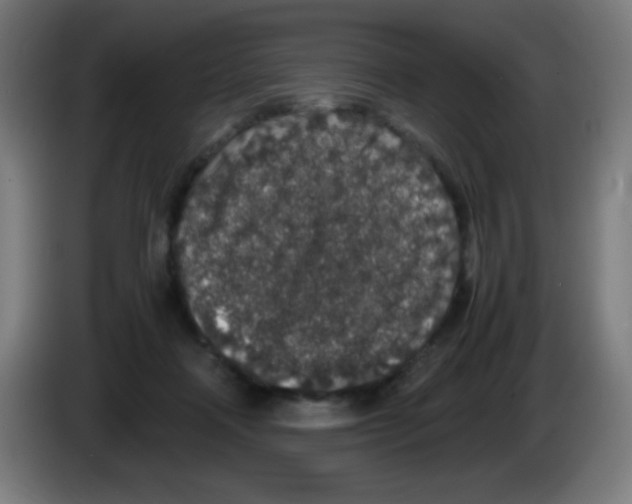 X0000086240314200704261921
