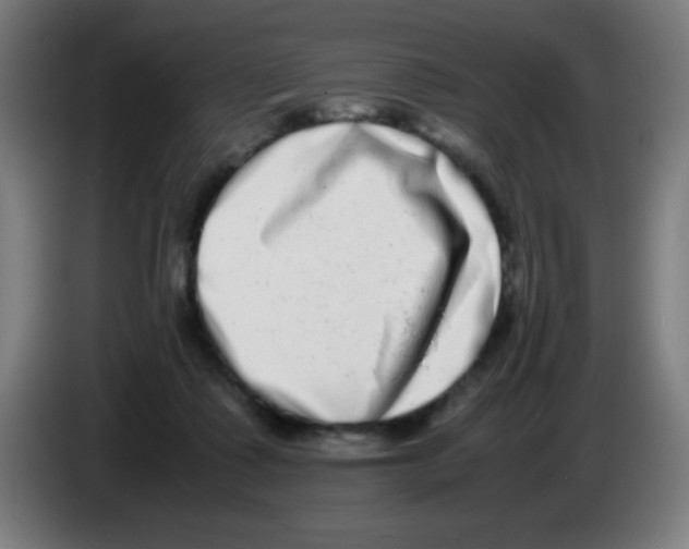 X0000086240315200704261921