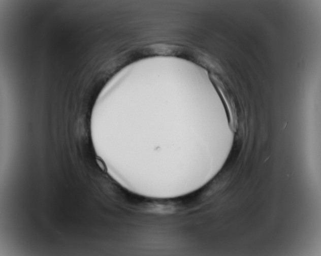 X0000086240317200704261921