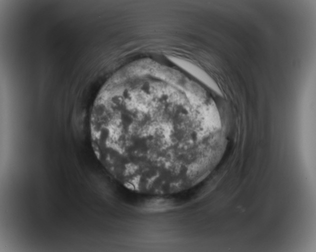 X0000086240319200704261921