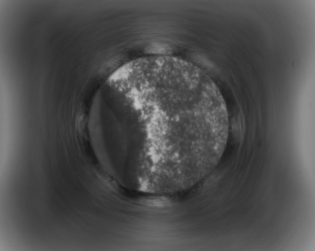 X0000086240322200704261921