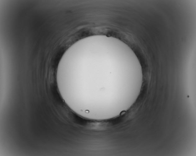 X0000086240323200704261921