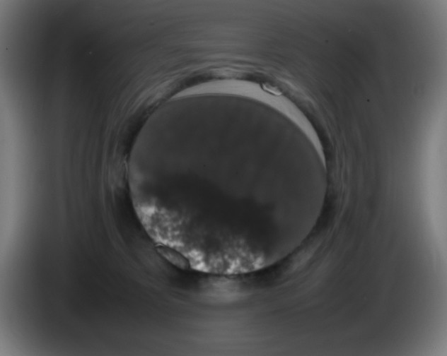 X0000086240325200704261921